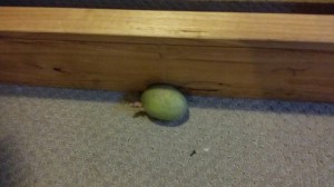 20141006_185726_resized