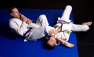 Jiu jitsu arm bars - good for MMA wrestling matches and holding down dolphins